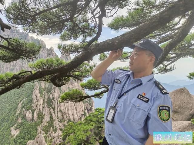 黄山守松人胡晓春：没有感情投入，就守护不好迎客松-3.jpg