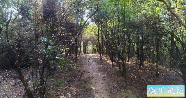 福州徒步线路第5条，莲花峰（北峰）区域第4条-贡院岭古道-8.jpg