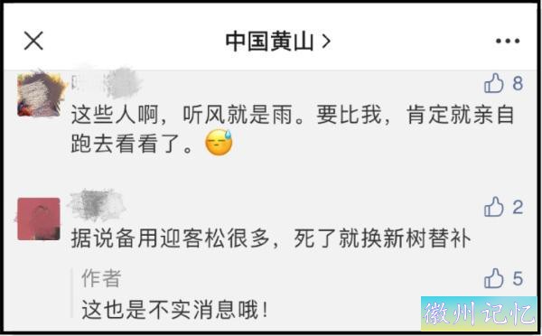 黄山迎客松是塑料的？官方回应→-5.jpg