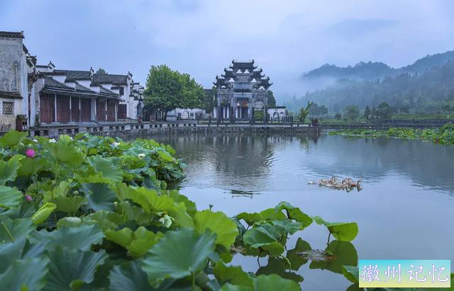 春游江淮 | 西递景区，世界最佳和全国最干净的文旅典范 | 519 中国旅游日-3.jpg