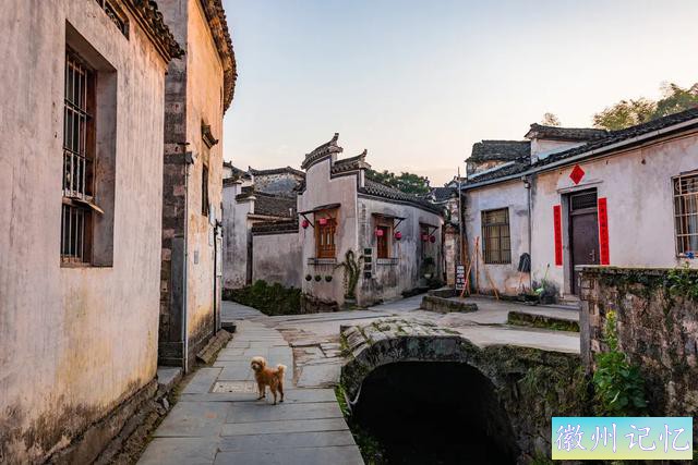 春游江淮 | 西递景区，世界最佳和全国最干净的文旅典范 | 519 中国旅游日-18.jpg