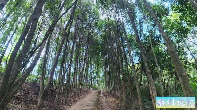 福州徒步线路第3条，莲花峰（北峰）区域第2条-象峰古道-1.jpg
