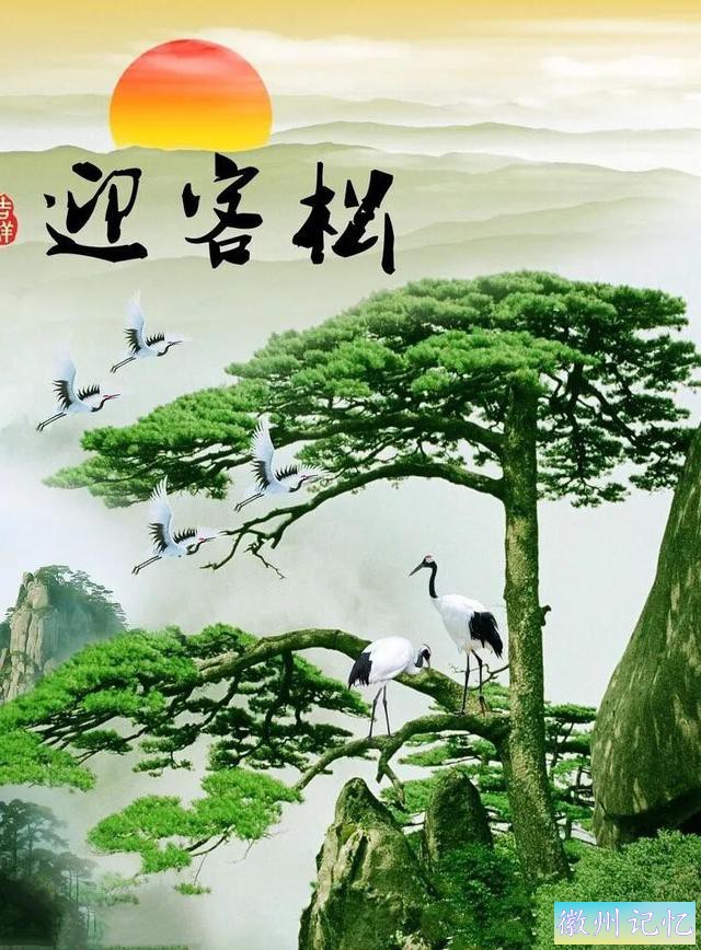 美丽壮阔的迎客松手绘壁纸-1.jpg