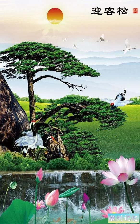 美丽壮阔的迎客松手绘壁纸-9.jpg