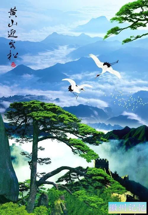 美丽壮阔的迎客松手绘壁纸-11.jpg