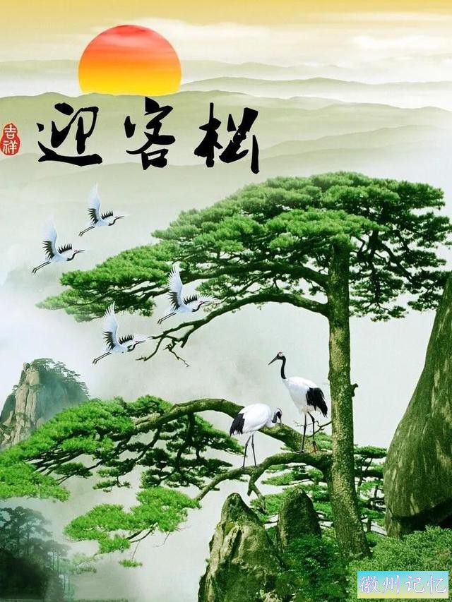 美丽壮阔的迎客松手绘壁纸-34.jpg