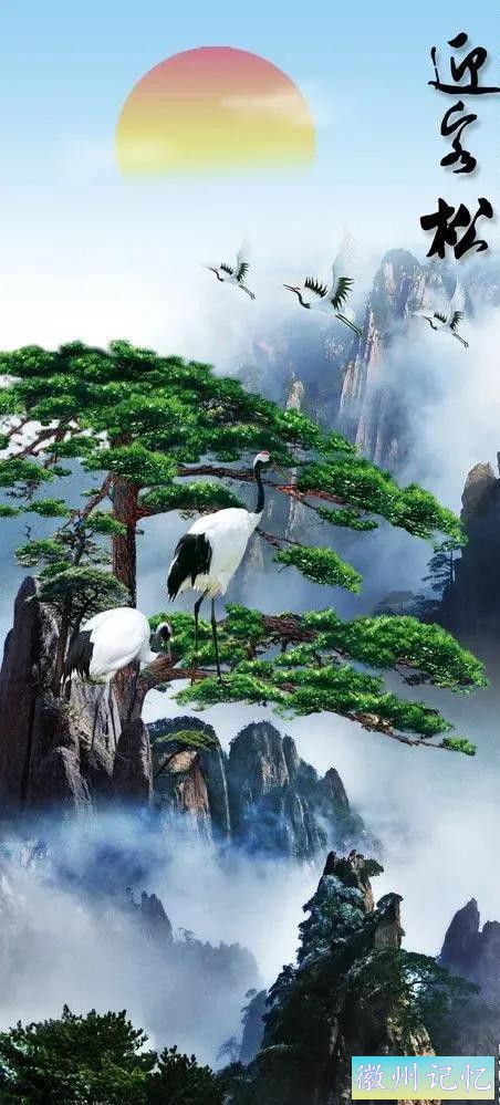 美丽壮阔的迎客松手绘壁纸-38.jpg