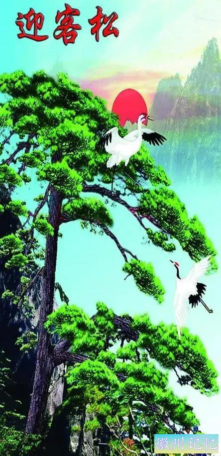 美丽壮阔的迎客松手绘壁纸-41.jpg