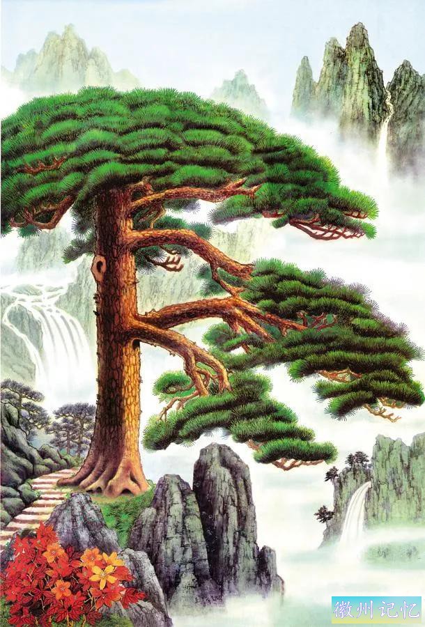 美丽壮阔的迎客松手绘壁纸-57.jpg