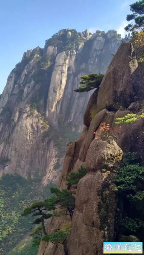 黄山天都峰美景图-17.jpg