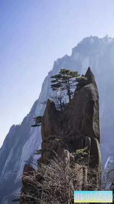 黄山天都峰美景图-22.jpg