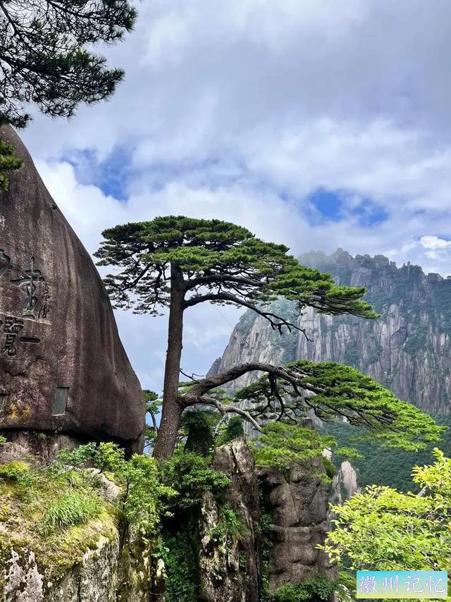 黄山上的迎客松，有着怎样的传奇与故事-8.jpg