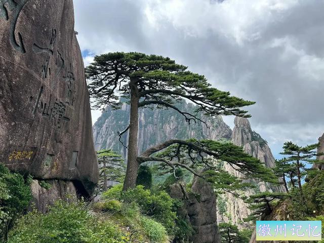 黄山上的迎客松，有着怎样的传奇与故事-11.jpg