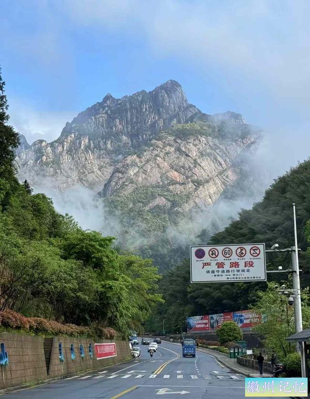 黄山的迎客松-5.jpg