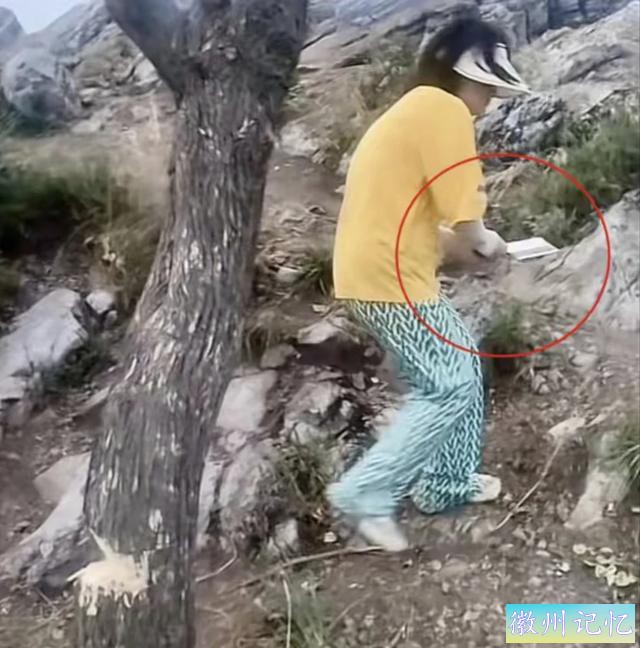 襄阳扁山迎客松被砍后续，本地人历经4个小时抬新树上山顶栽种-5.jpg