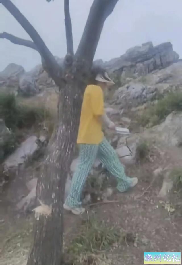 襄阳扁山迎客松被砍后续，本地人历经4个小时抬新树上山顶栽种-6.jpg