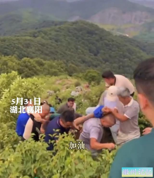 襄阳扁山迎客松被砍后续，本地人历经4个小时抬新树上山顶栽种-8.jpg