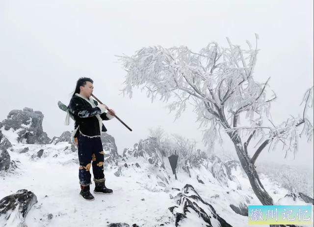 襄阳扁山迎客松被砍后续，本地人历经4个小时抬新树上山顶栽种-14.jpg