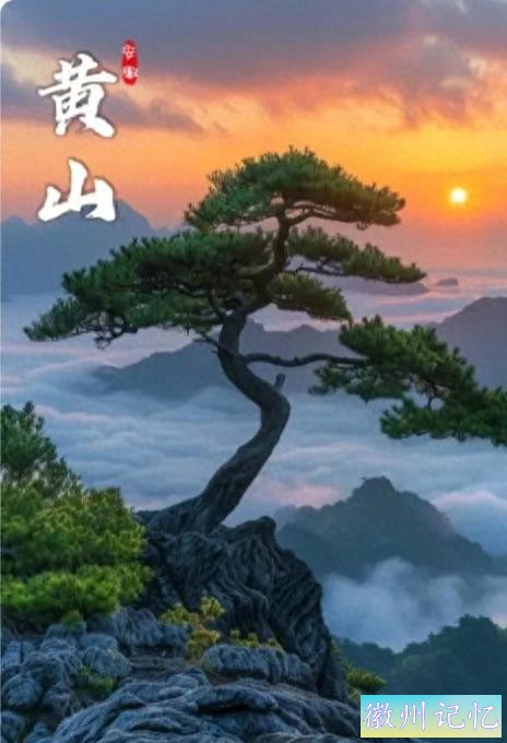 黄山迎客松:岁月里的文化瑰宝-1.jpg