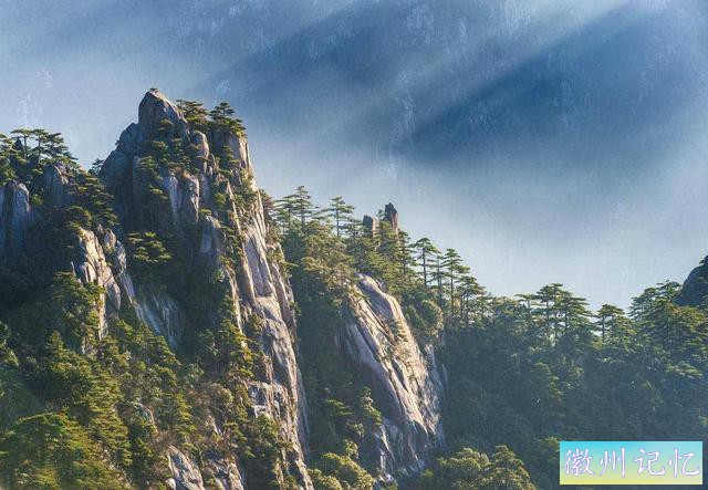 黄山迎客松是棵假树？千百年保持统一造型，保镳站岗日夜轮流守护-3.jpg