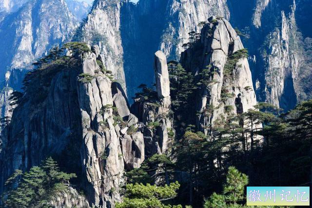 黄山迎客松是棵假树？千百年保持统一造型，保镳站岗日夜轮流守护-4.jpg