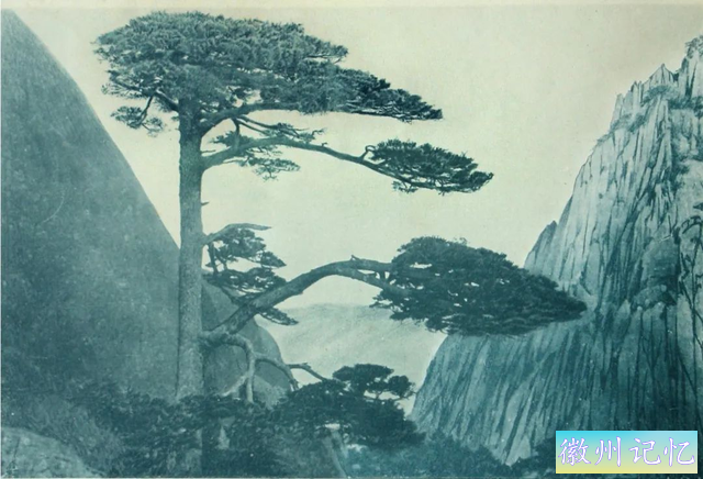从冬奥会“迎客松烟花”谈黄山迎客松-3.jpg