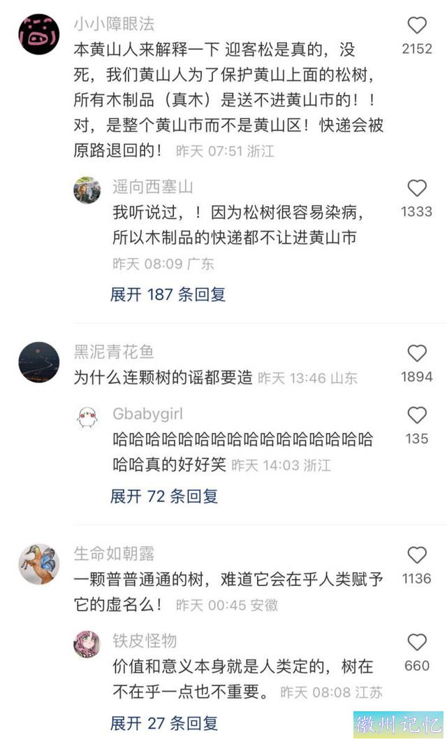 黄山迎客松再遭质疑，树枝是塑料做的？景区回应：三年前就辟过谣-2.jpg