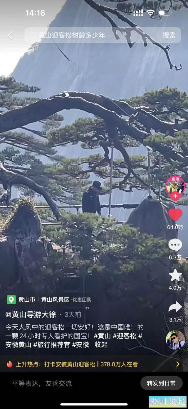 黄山迎客松再遭质疑，树枝是塑料做的？景区回应：三年前就辟过谣-4.jpg