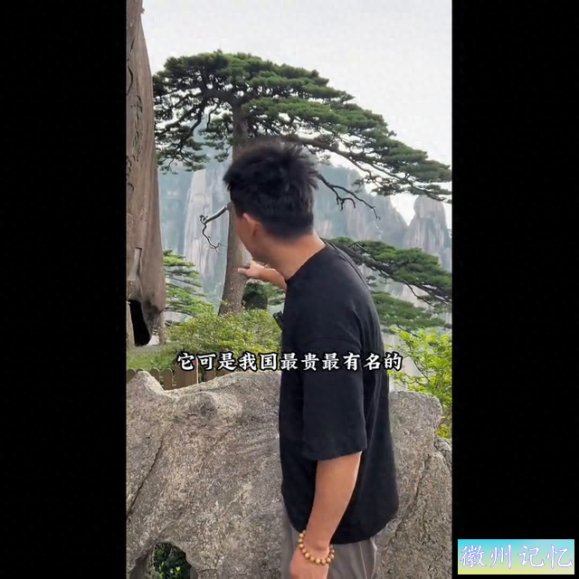 迎客松历经千年岁月，仍然屹立不倒-1.jpg