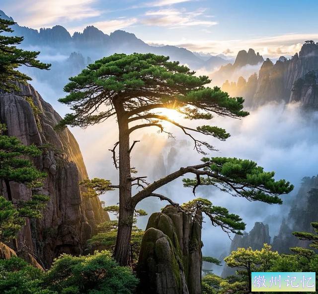 黄山迎客松 | 千年传奇，贵气逼人，岁月雕琢的无价瑰宝-2.jpg