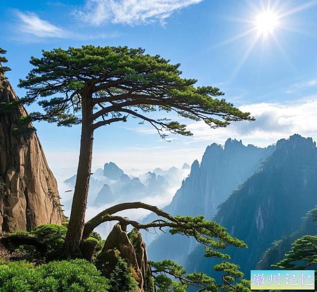 黄山迎客松 | 千年传奇，贵气逼人，岁月雕琢的无价瑰宝-5.jpg