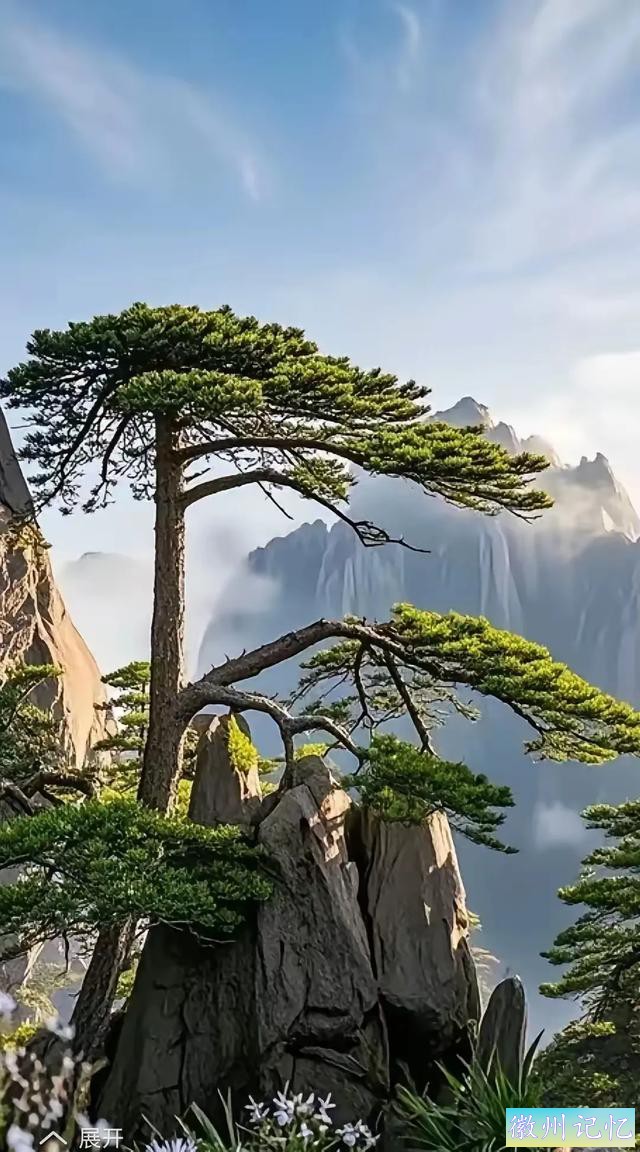 迎客松：黄山之巅的永恒守望-2.jpg