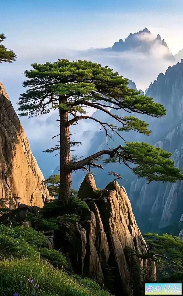 迎客松：黄山之巅的永恒守望-1.jpg
