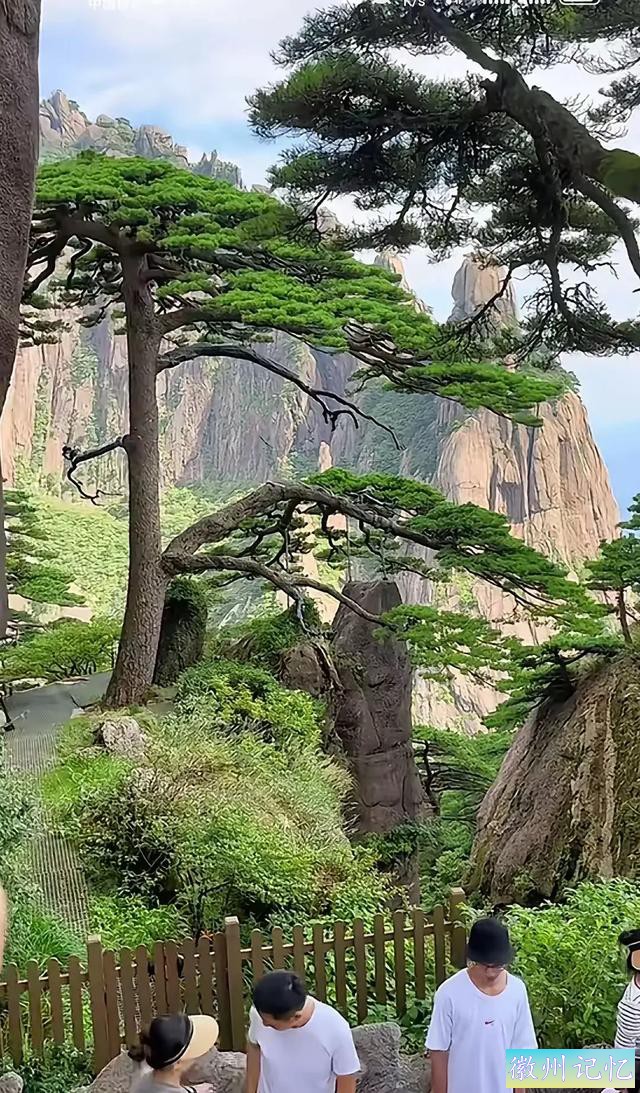 迎客松：黄山之巅的永恒守望-3.jpg