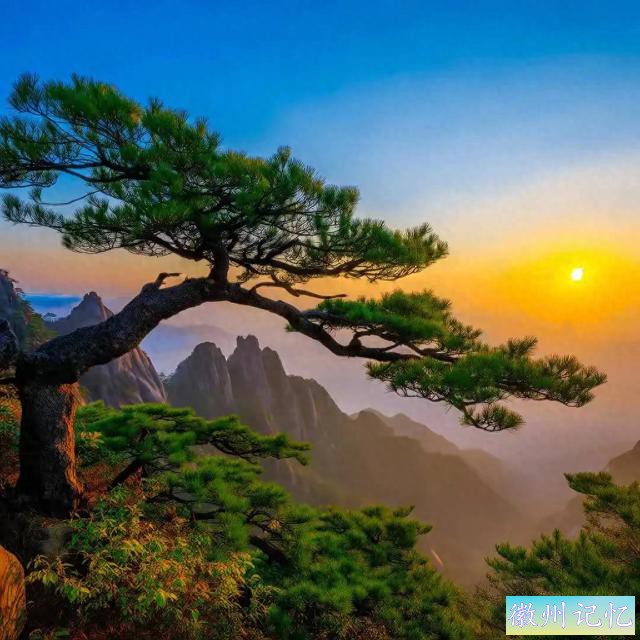 2025招财头像：黄山迎客松——鹏程万里，青云直上的艺术象征-1.jpg