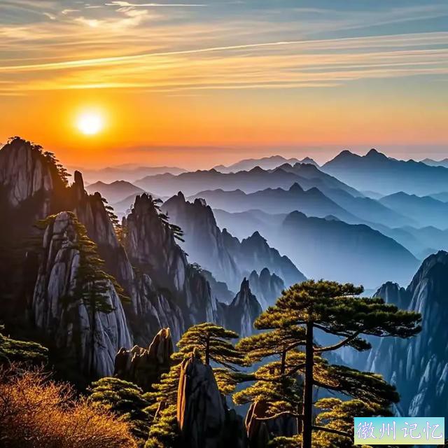 2025招财头像：黄山迎客松——鹏程万里，青云直上的艺术象征-4.jpg