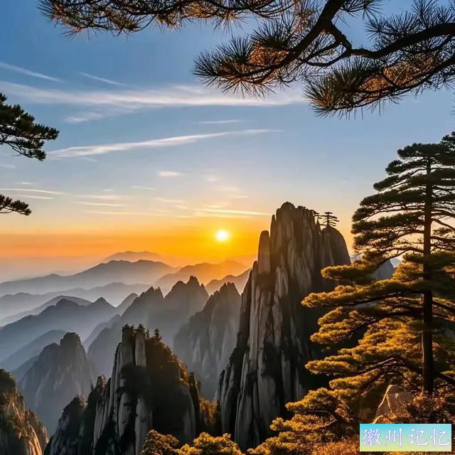 2025招财头像：黄山迎客松——鹏程万里，青云直上的艺术象征-2.jpg