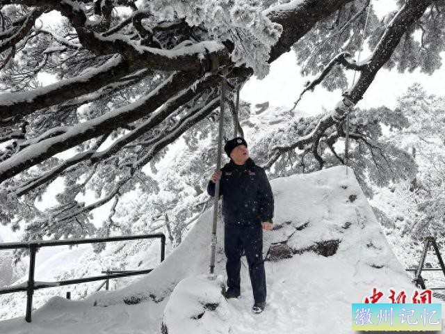 迎客松第19任“守松人”：一人一松十五载-1.jpg