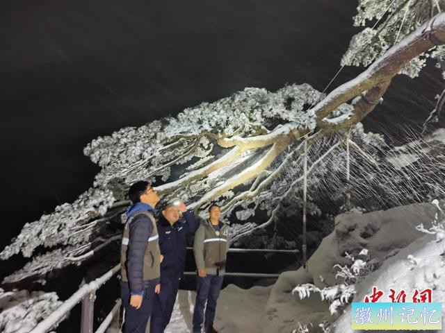 迎客松第19任“守松人”：一人一松十五载-2.jpg