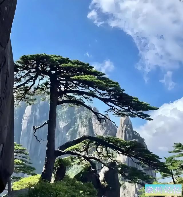 黄山玉屏景区：自然与人文的绝美交融-30.jpg