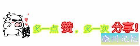 迎客松的大手笔书法题字，竟出自朱德元帅之手，柔和飘逸，太亮眼-6.jpg