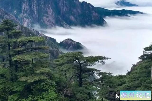 我爬过最险的山峰——天都峰-6.jpg