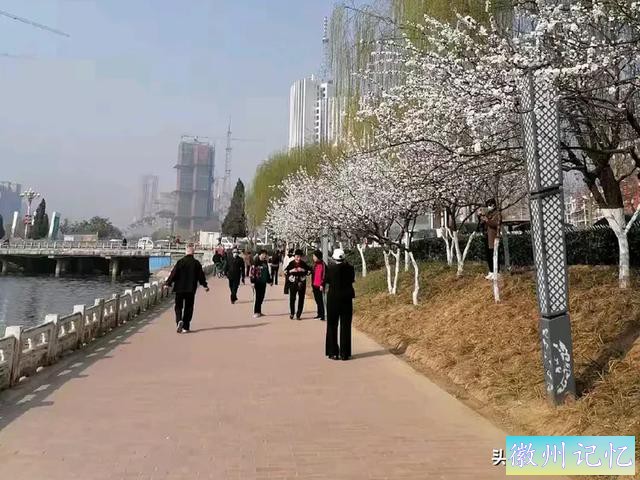 忆八十三岁登黄山光明顶（外三首）-2.jpg