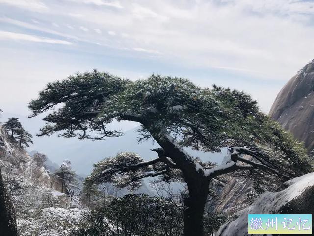 四季黄山 相约夏天 | 【我与迎客松的故事】面对逆境，处之泰然-2.jpg
