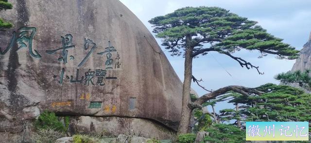 四季黄山 相约夏天 | 【我与迎客松的故事】面对逆境，处之泰然-1.jpg