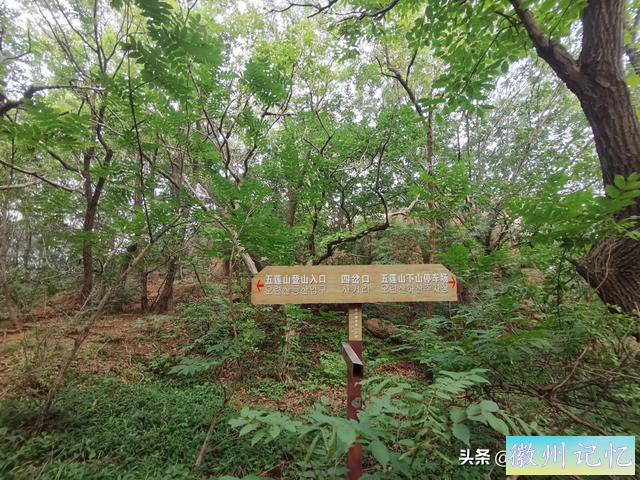 山东日照五莲山五朵莲花峰+九仙山扎石沟-12.jpg