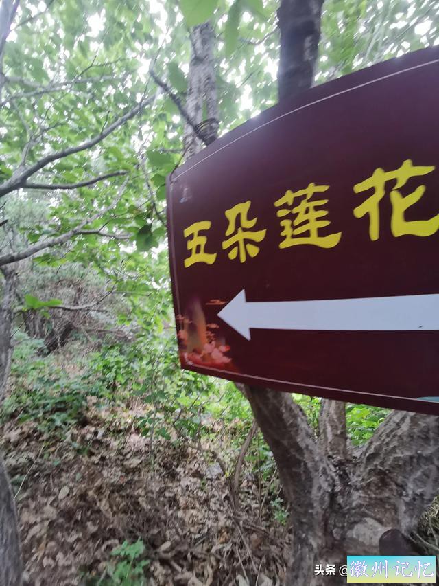 山东日照五莲山五朵莲花峰+九仙山扎石沟-15.jpg