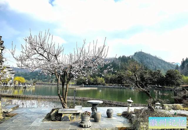 叶桦：西递古村——始建于宋，兴于明清，百年光阴，揽三项世遗-16.jpg