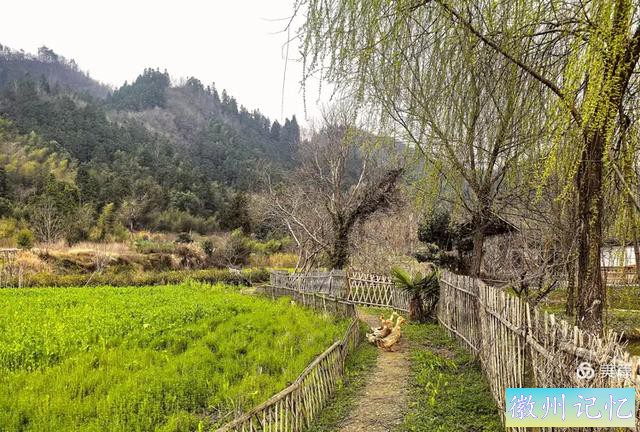 叶桦：西递古村——始建于宋，兴于明清，百年光阴，揽三项世遗-36.jpg