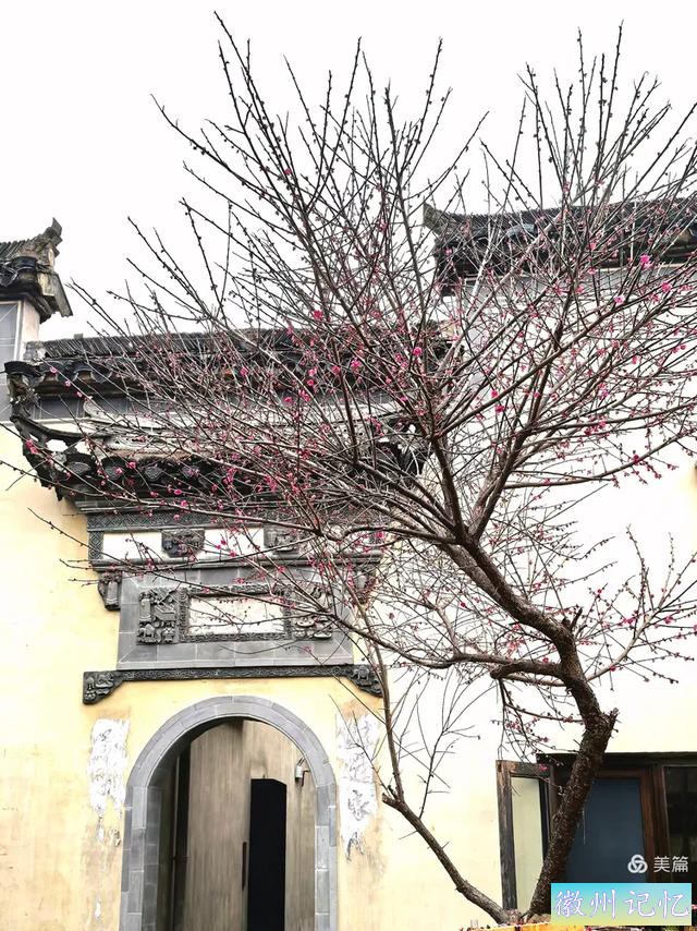 叶桦：西递古村——始建于宋，兴于明清，百年光阴，揽三项世遗-32.jpg